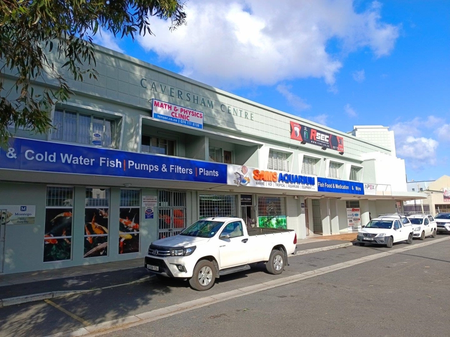 To Let commercial Property for Rent in Diep River Western Cape
